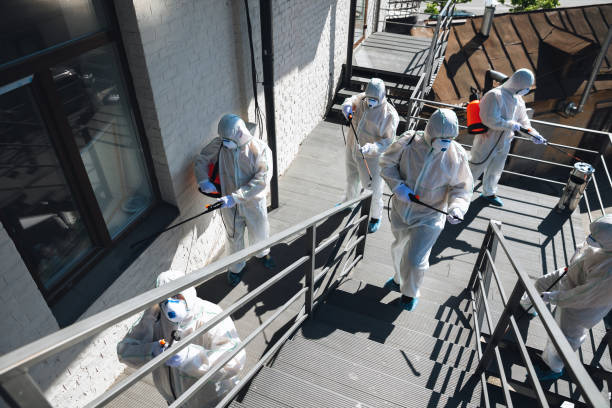 Best Emergency Mold Remediation  in Minneota, MN